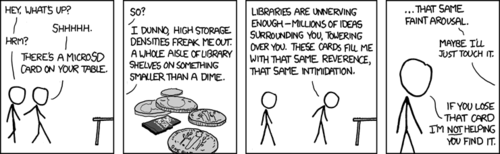 One male (the Author) describes his fond reverence for modern digital storage devices, specifically a MicroSD card owned by his male companion. He even goes so far as to admit the device sexually arouses him. The owner then states that if the card becomes lodged in the aroused man&rsquo;s anus, he will not aid in its removal.
Survey: what other computing devices do you think the Author has inserted into his rectum?